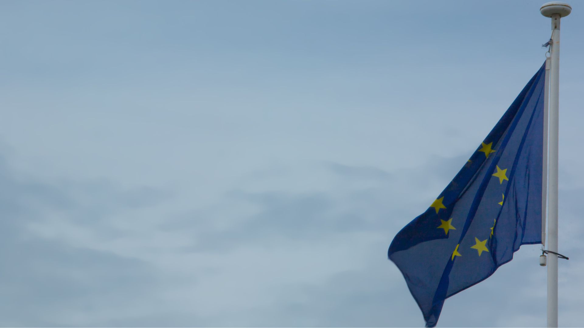 EU vlag